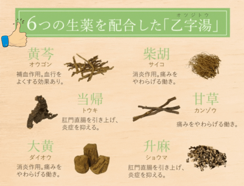 商品紹介
