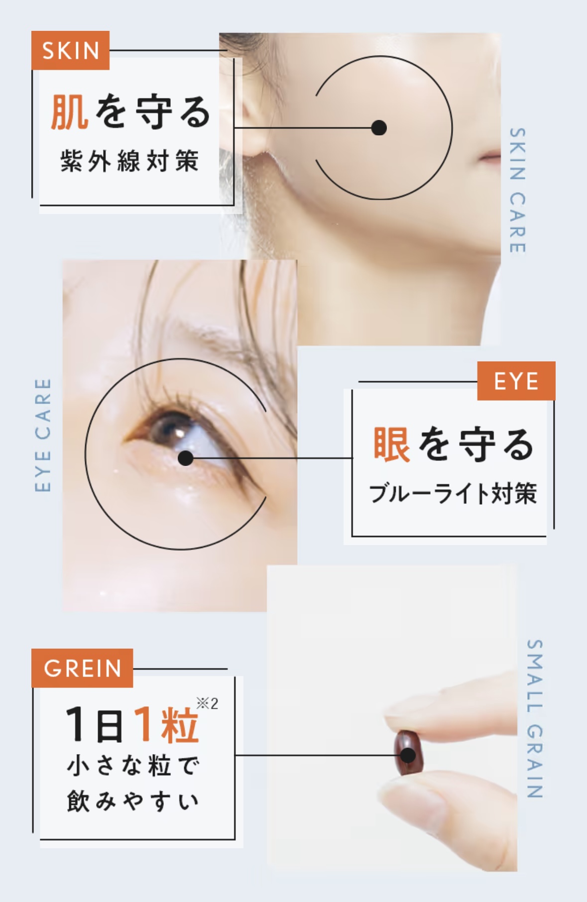 商品紹介