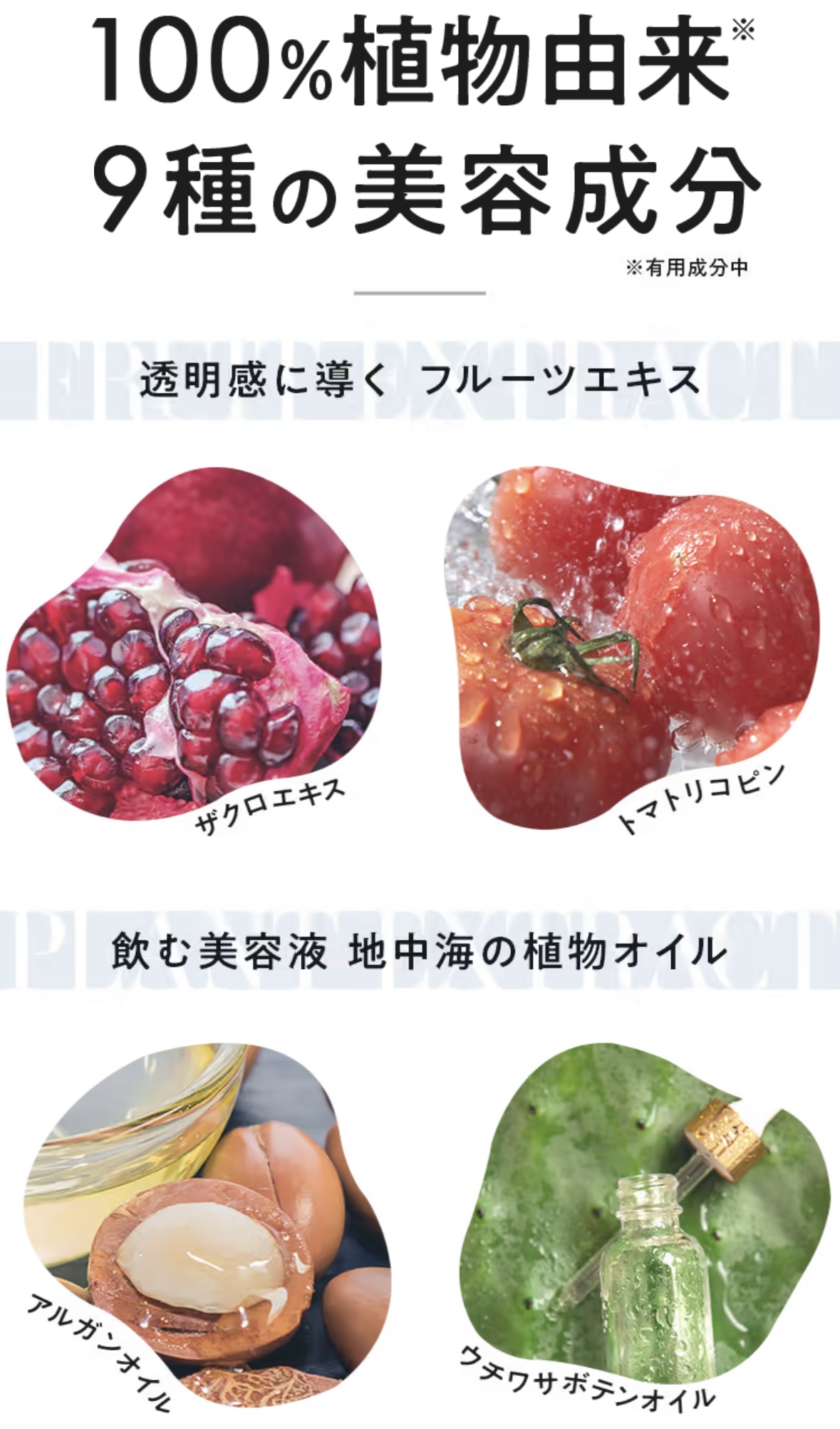 商品紹介
