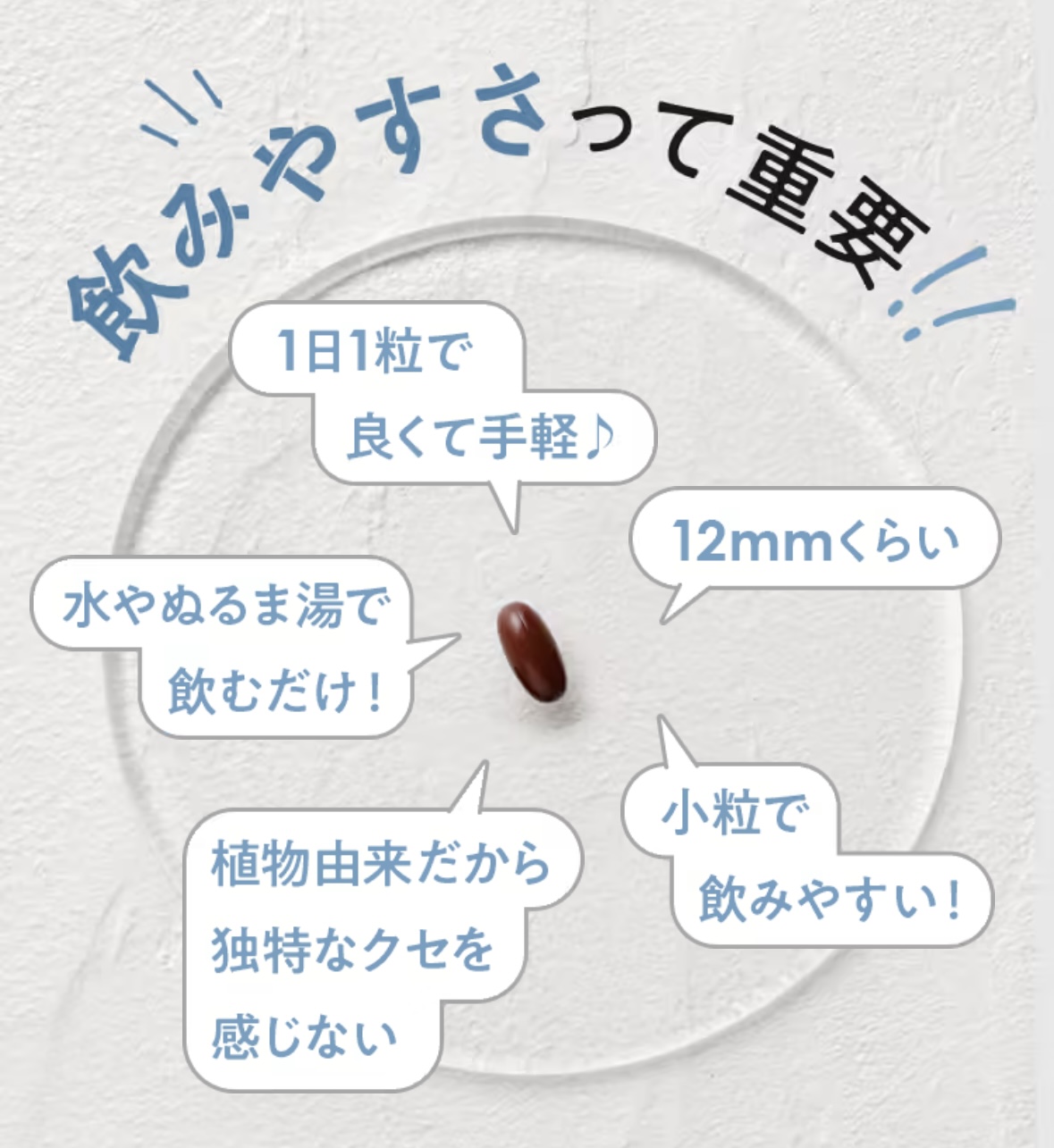 商品紹介