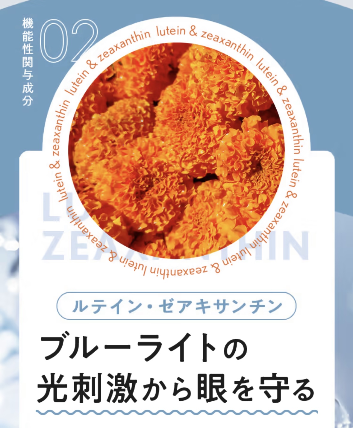 商品紹介