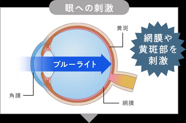 商品紹介