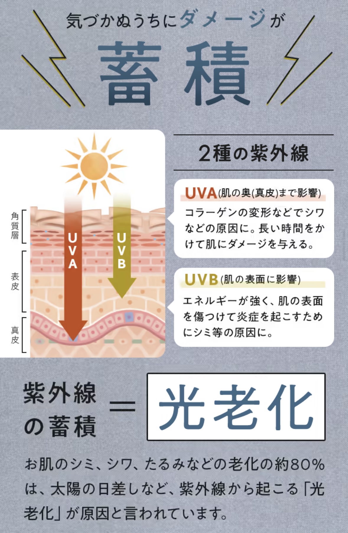 商品紹介