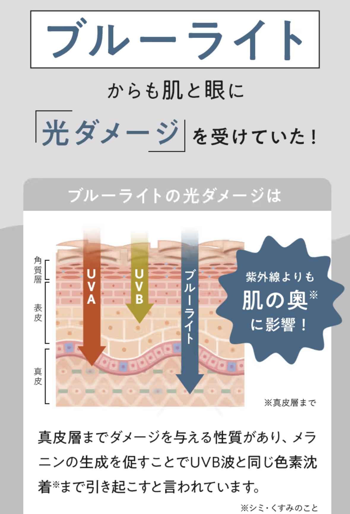 商品紹介