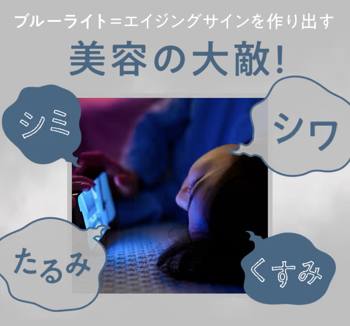 商品紹介