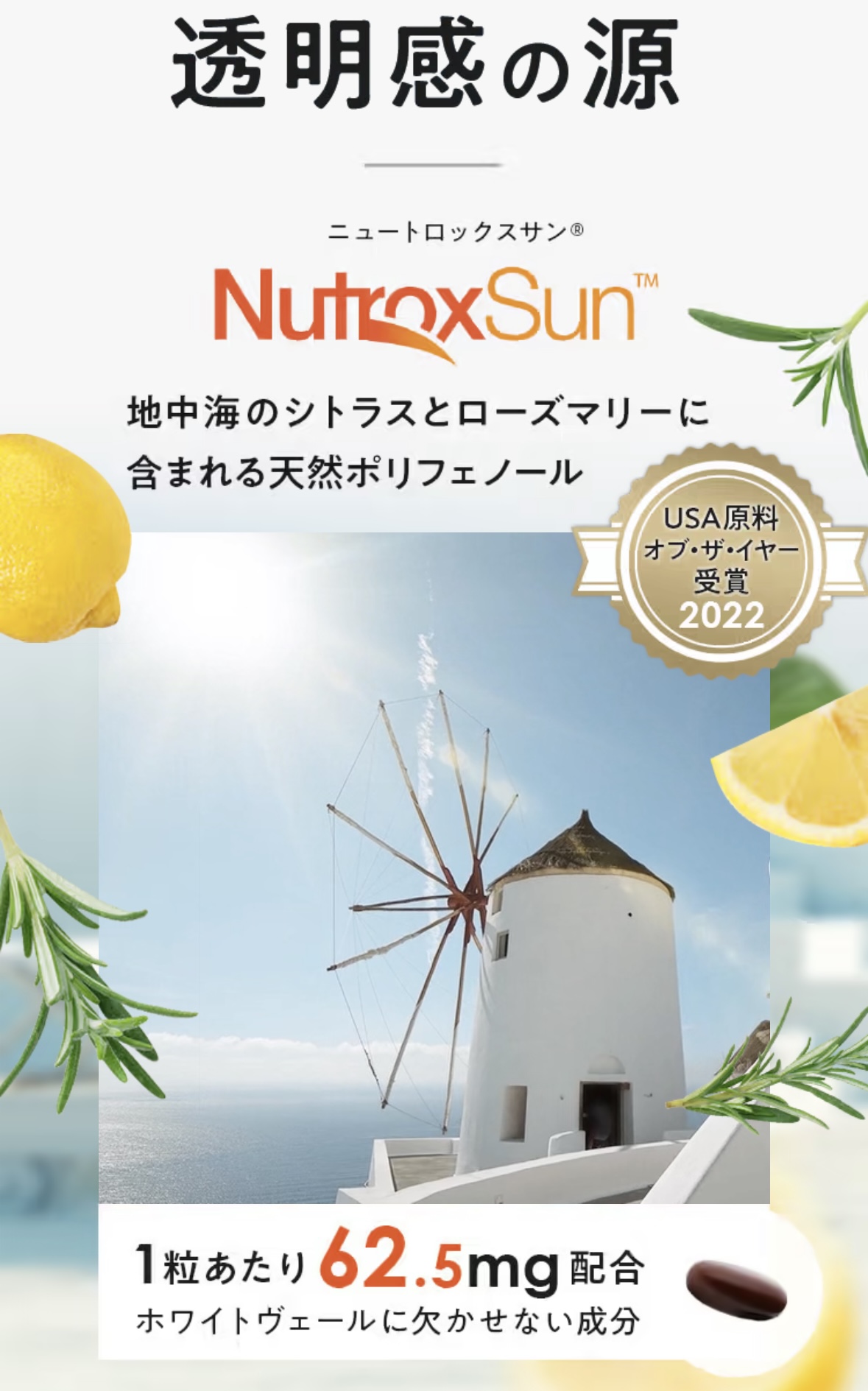商品紹介