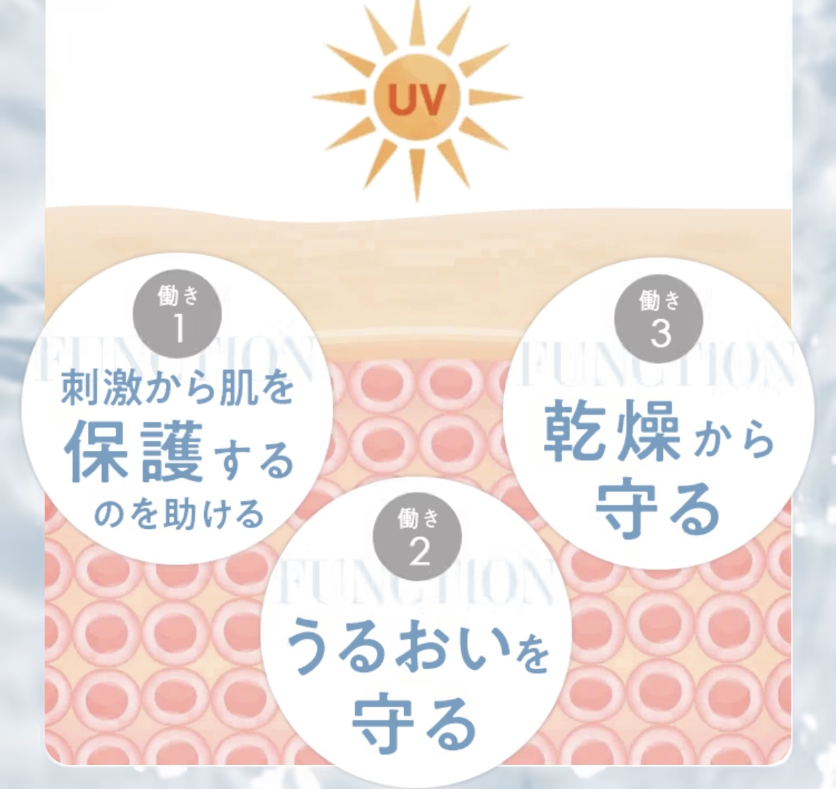 商品紹介
