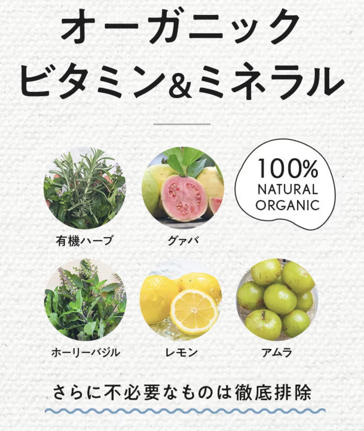 商品紹介