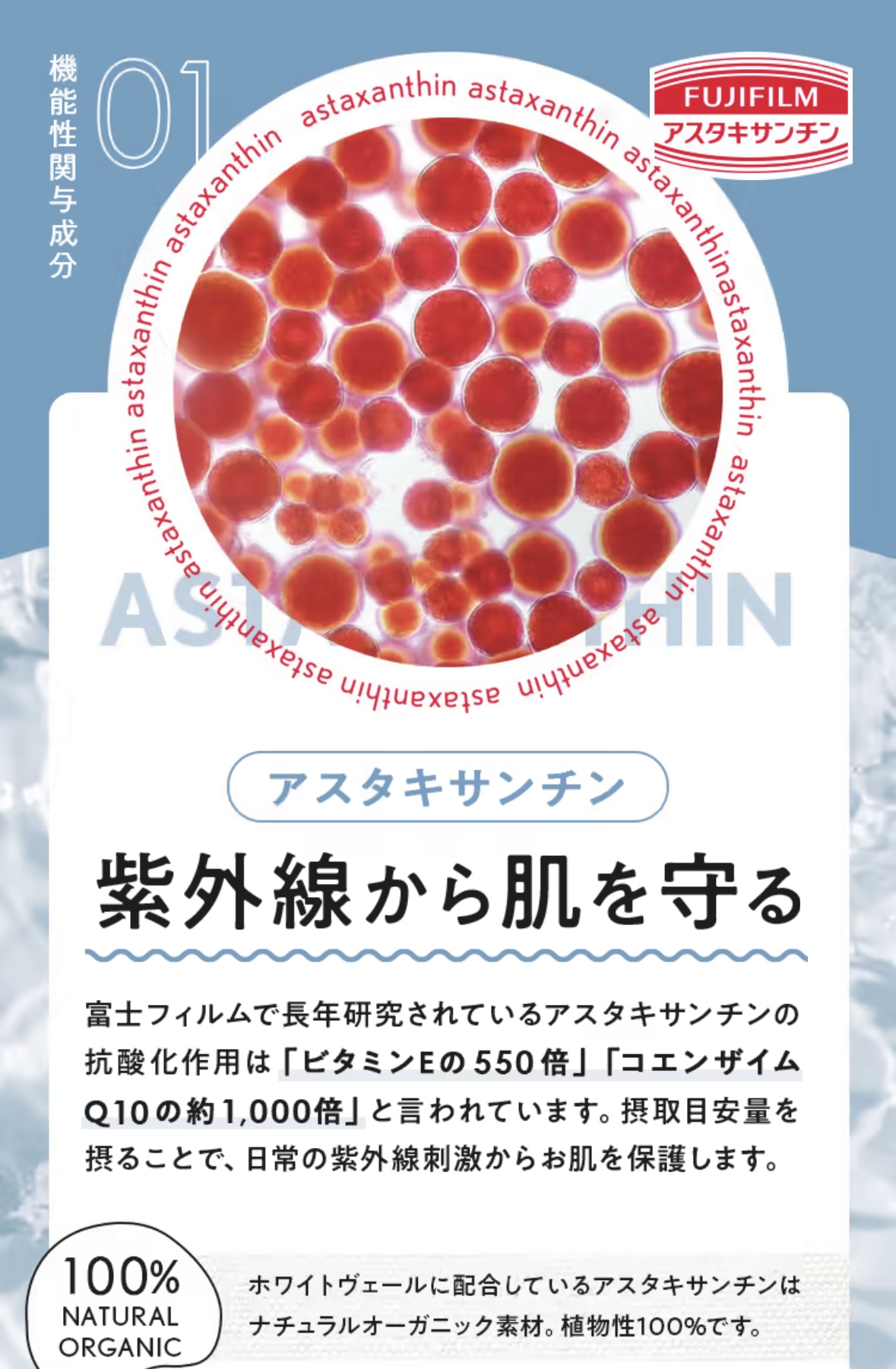 商品紹介